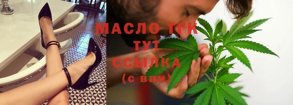 шишки Карпинск