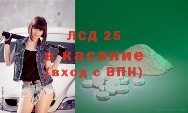 ГАЛЛЮЦИНОГЕННЫЕ ГРИБЫ Елабуга