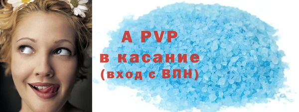 шишки Карпинск