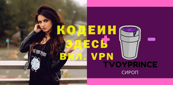 шишки Карпинск