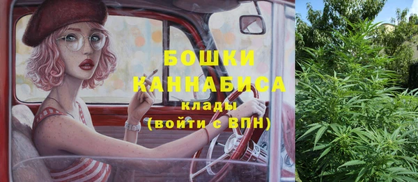 сатива Карталы