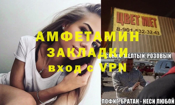 шишки Карпинск