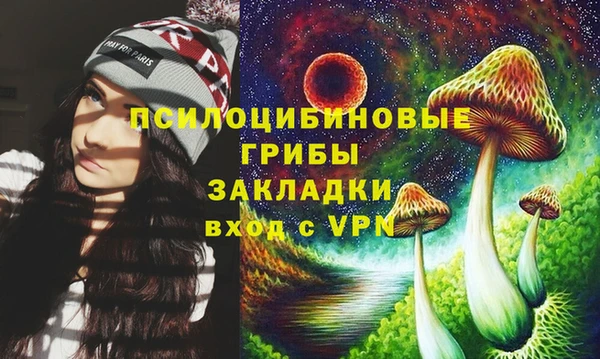 шишки Карпинск