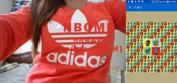 сатива Карталы