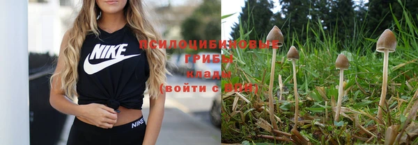 круглые Касимов