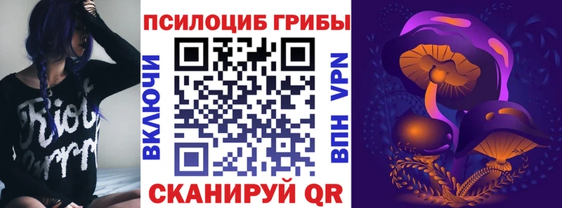 Псилоцибиновые грибы Psilocybe Киренск