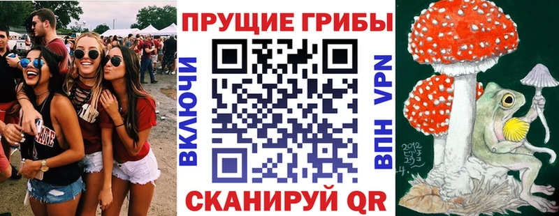 Псилоцибиновые грибы Psilocybe  Купить закладки  Киренск 