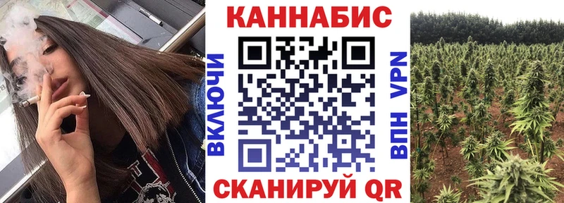 Купить  Киренск  Каннабис план 